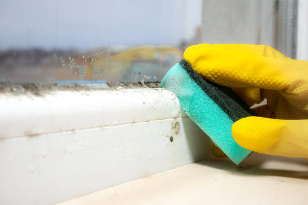 Best Commercial water damage restoration  in Guthrie, KY